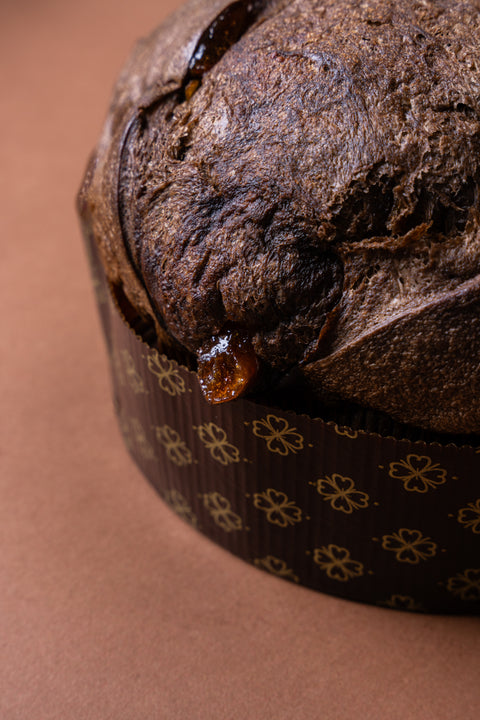 PANETTONE ALBICOCCA E CIOCCOLATO (750g)
